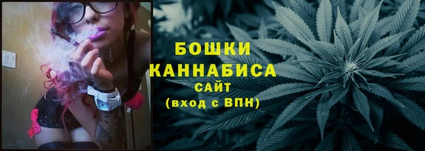 твердый Магас