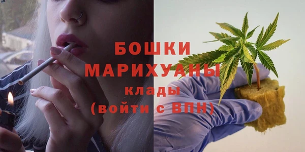 молекула духа Магадан