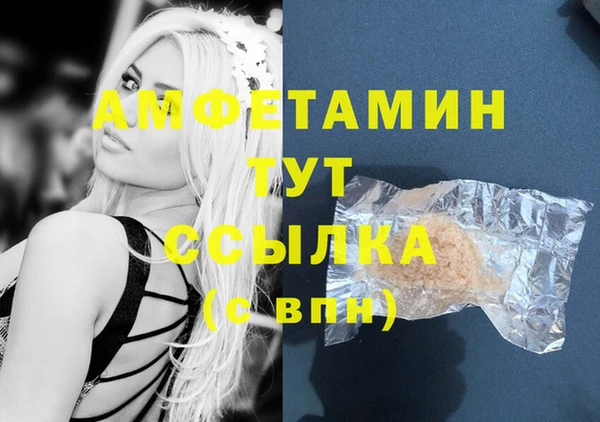 молекула духа Магадан