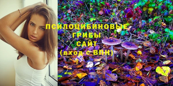 твердый Магас