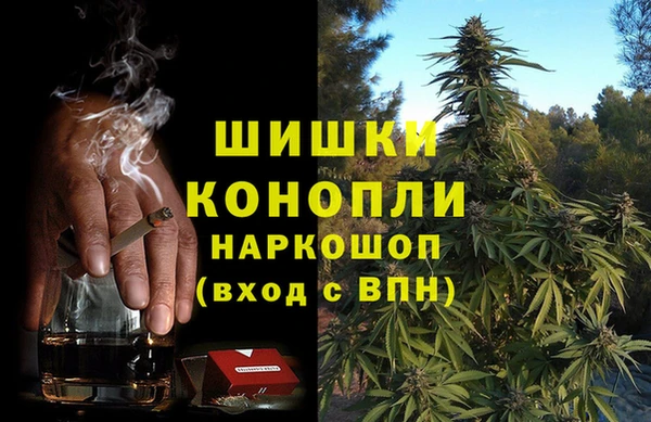 твердый Магас