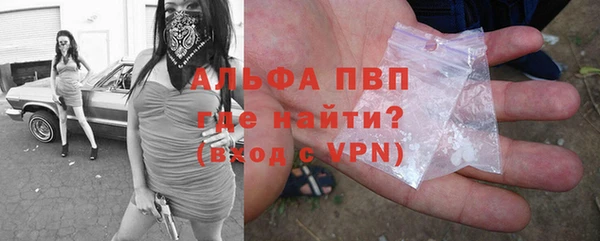 молекула духа Магадан